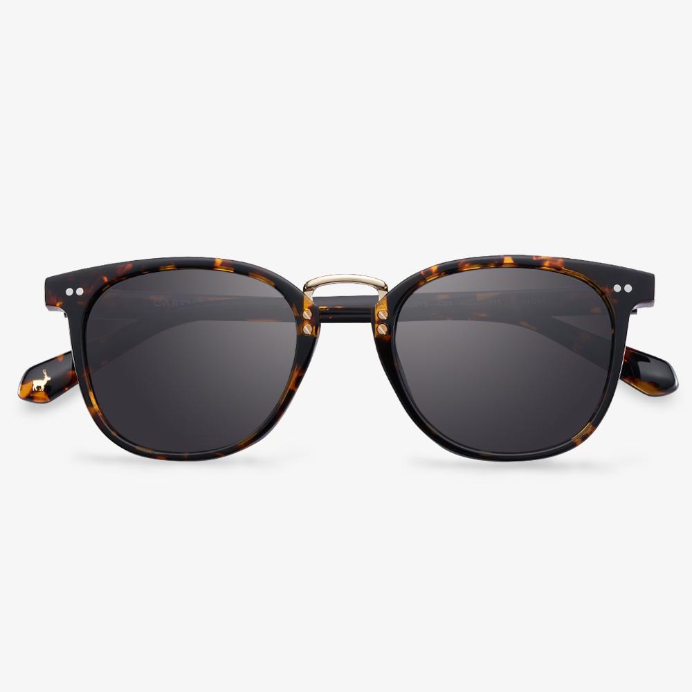 Tortoise Hollow Sunglasses #color_tortoise