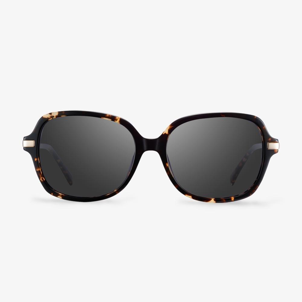 #color_tortoise1