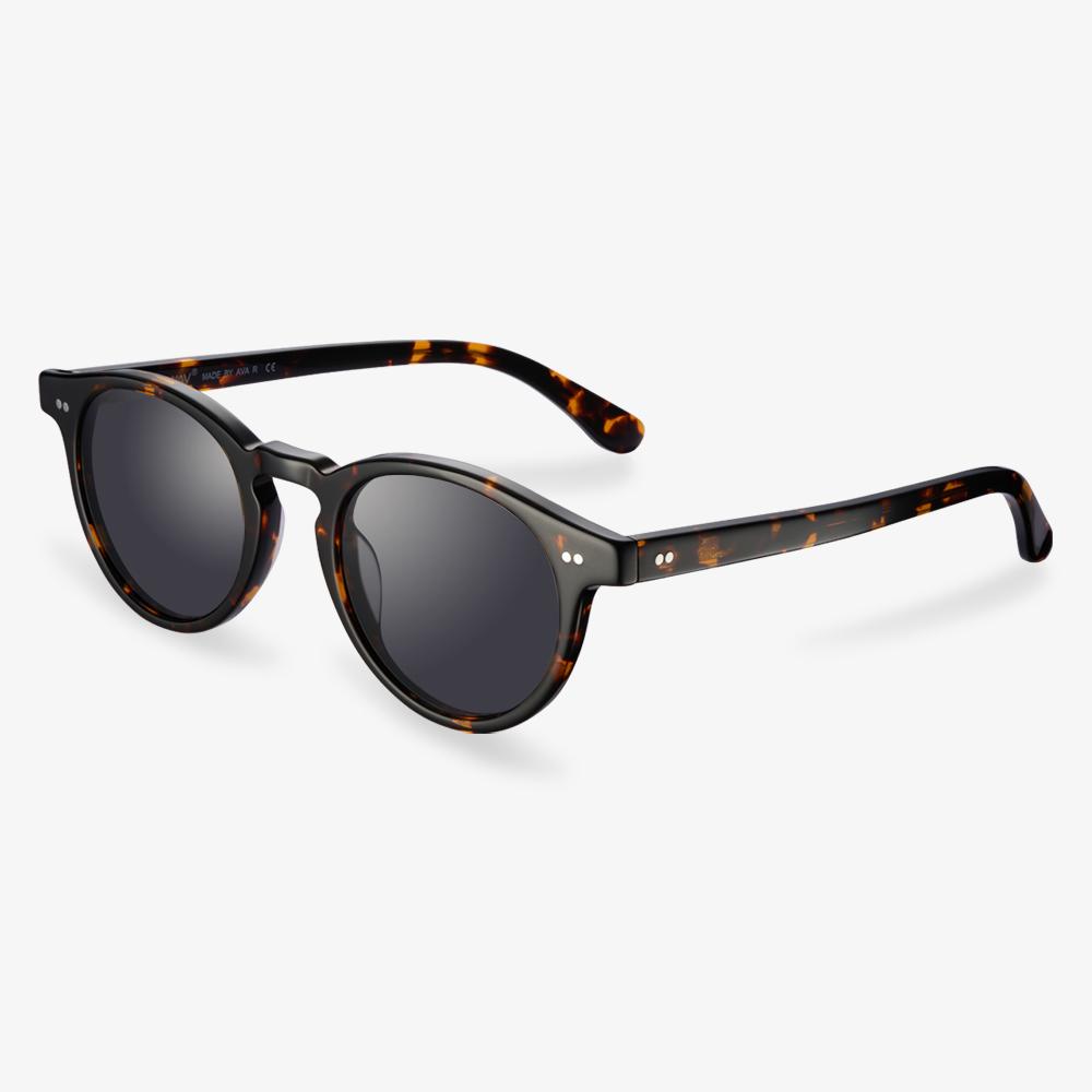 #color_tortoise1