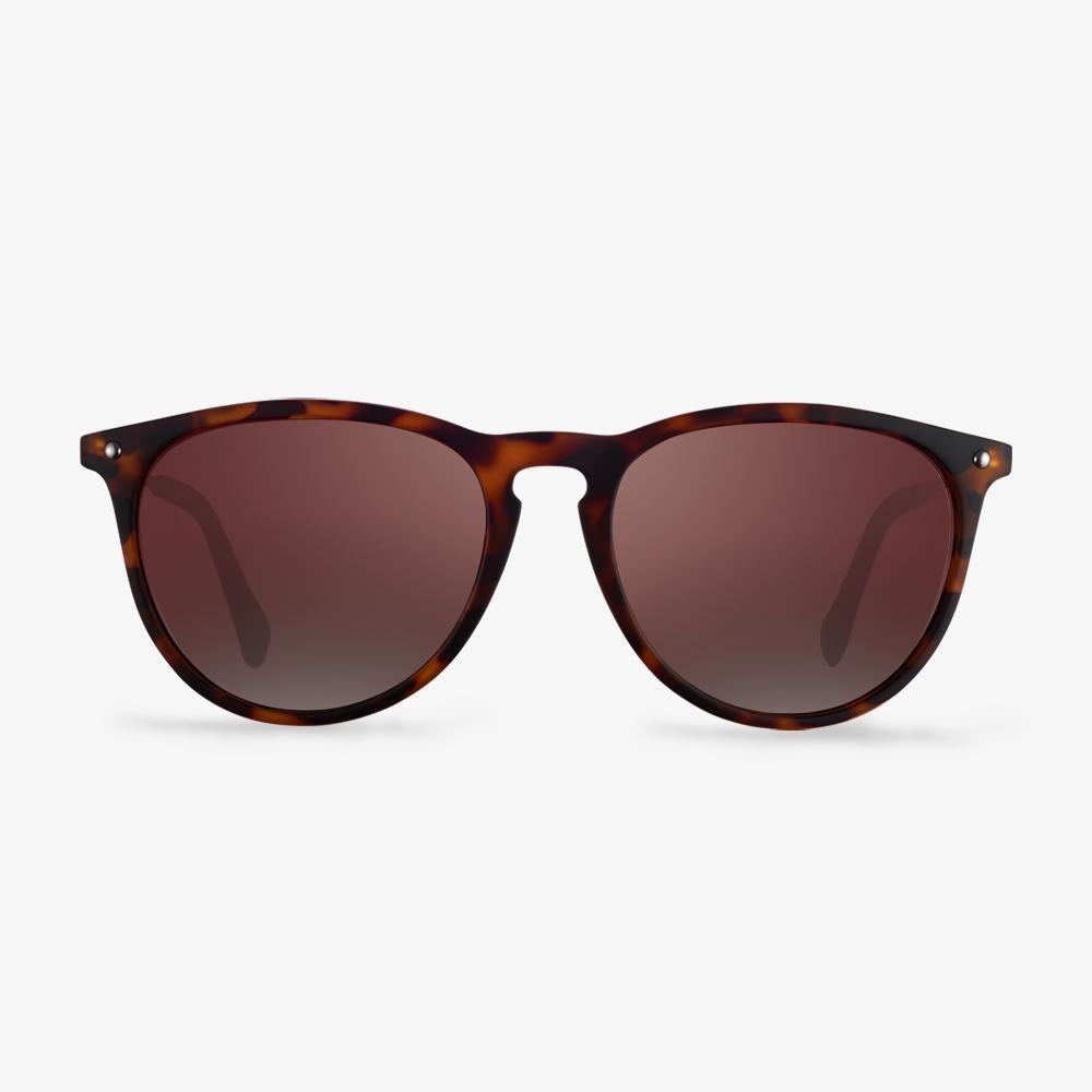 Tortoise Cameron Sunglasses #color_tortoise