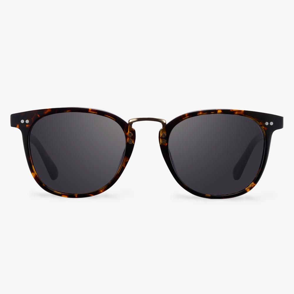Tortoise Hollow Sunglasses #color_tortoise