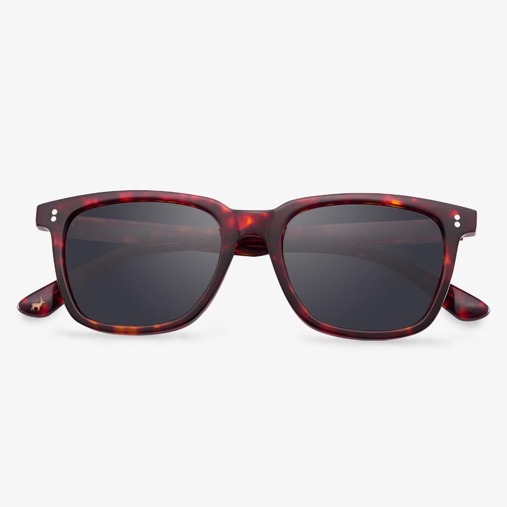 Tortoise Abelian Sunglasses #color_tortoise