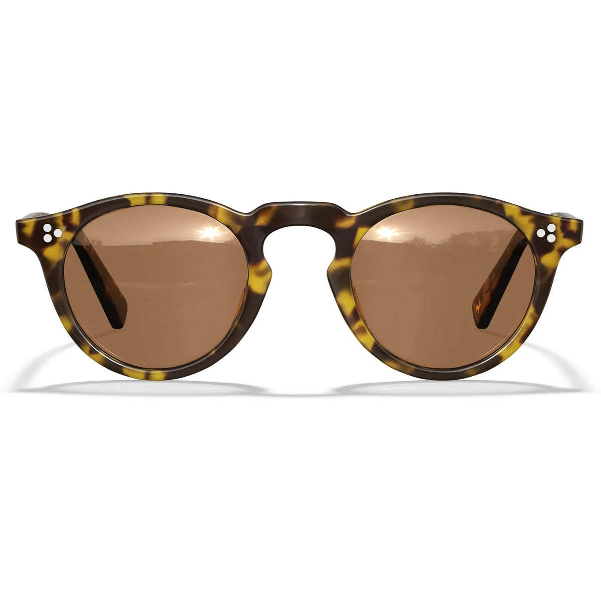 Tortoise Mesa-Rich Earth Sunglasses