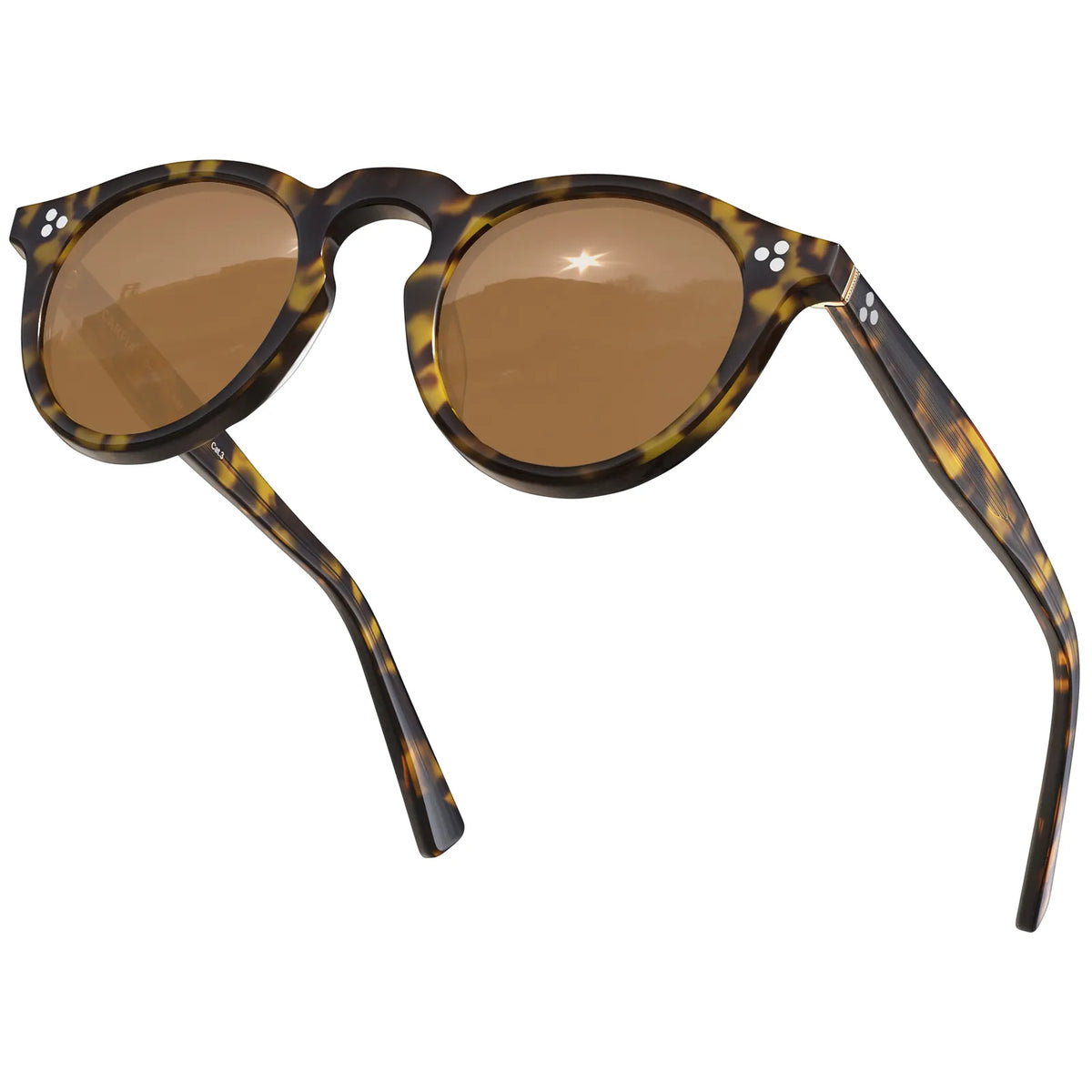 Tortoise Mesa-Rich Earth Sunglasses