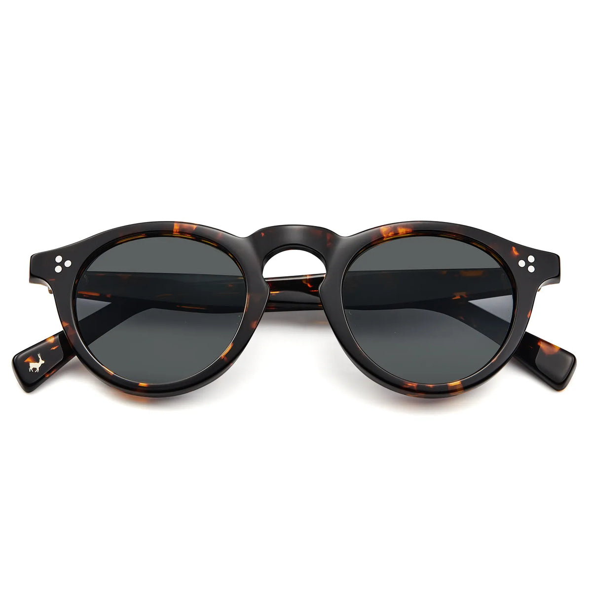 Tortoise Mesa-Delicate Charm Sunglasses
