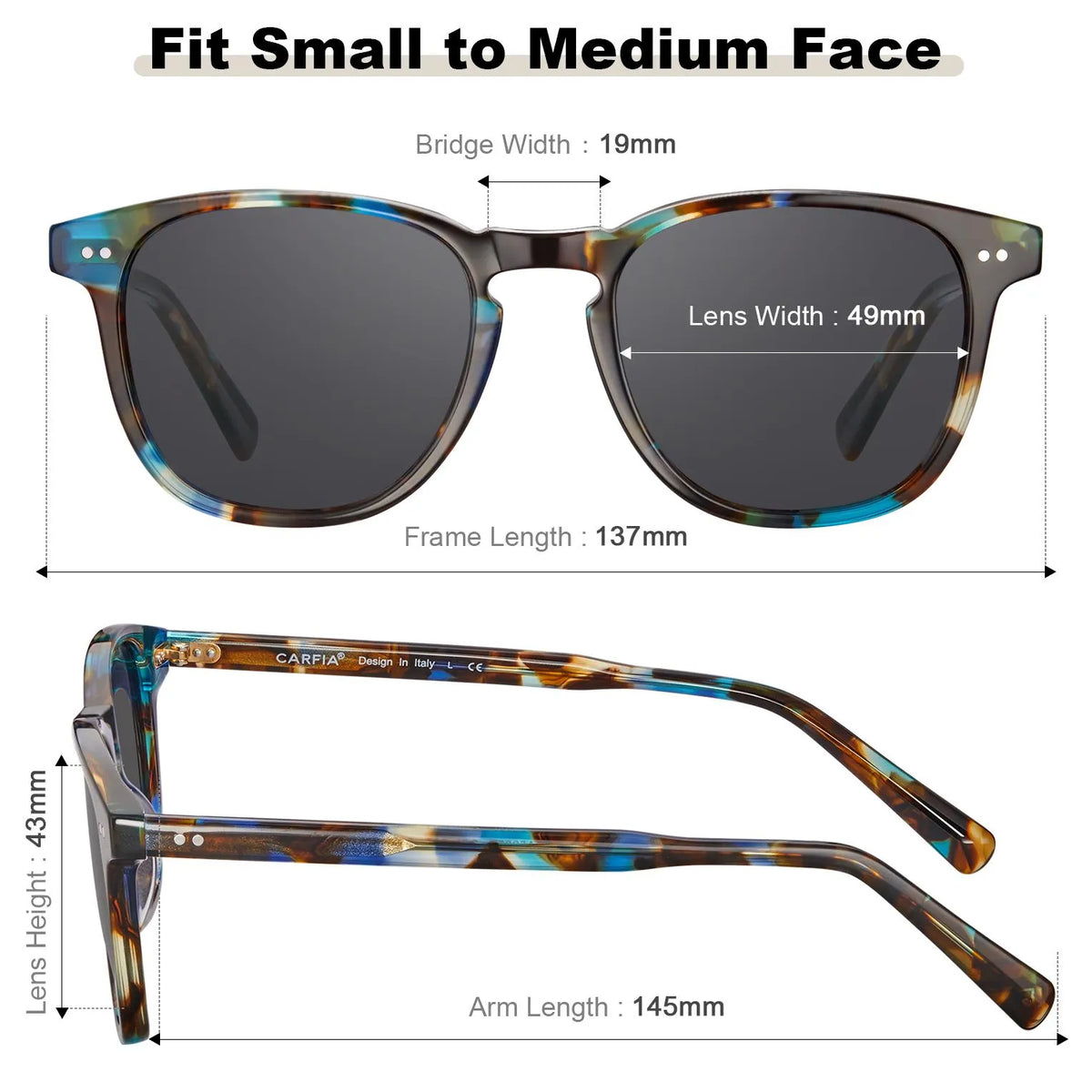 Tortoise Creston-Dual Charm Sunglasses