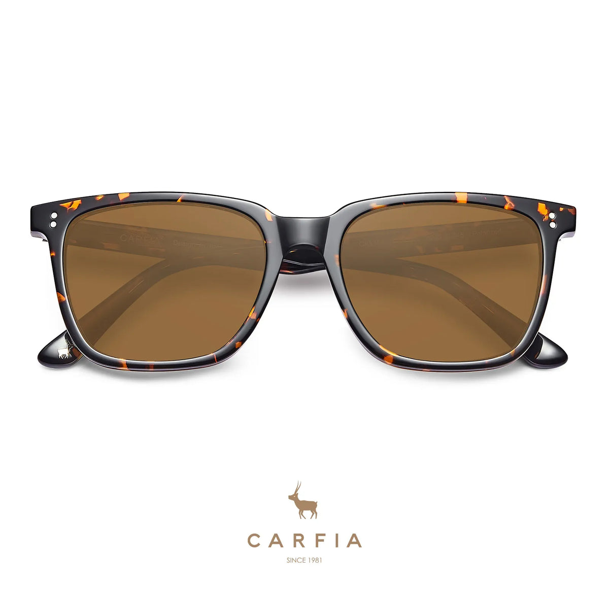 Tortoise Kenosha-Autumn Radiance Sunglasses