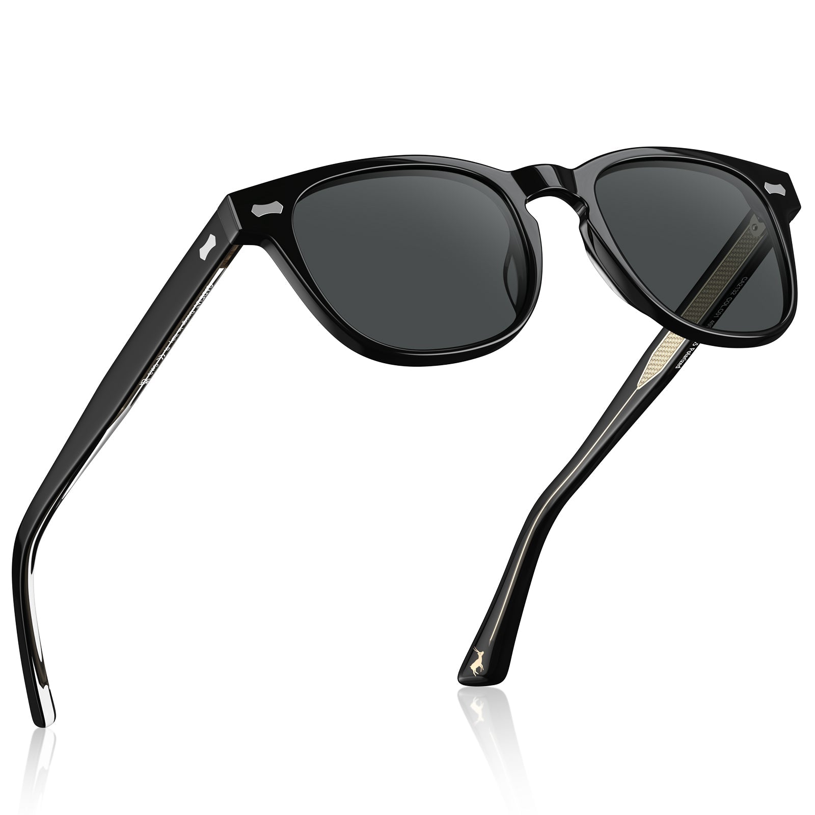 IGIOO Jena-C01 Black Sunglasses for Unisex, Three-Quarter View