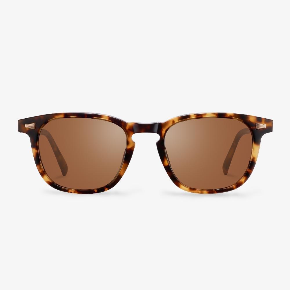 Tortoise Chadwick Sunglasses #color_tortoise
