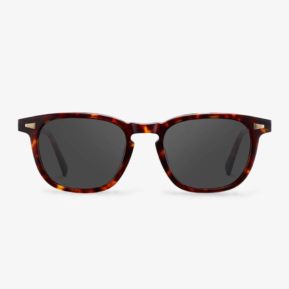 Tortoise Chadwick Sunglasses #color_tortoise