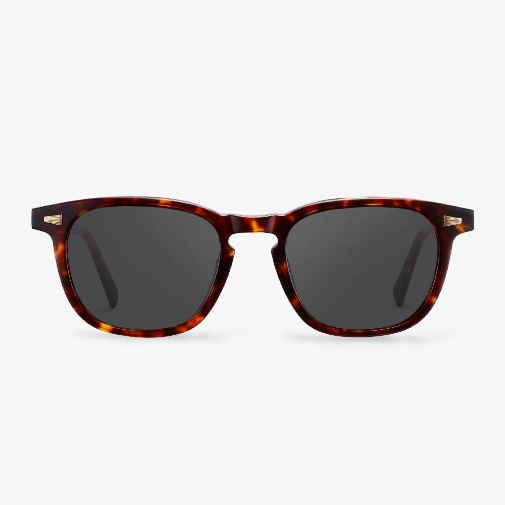 Tortoise Chadwick Sunglasses #color_tortoise1