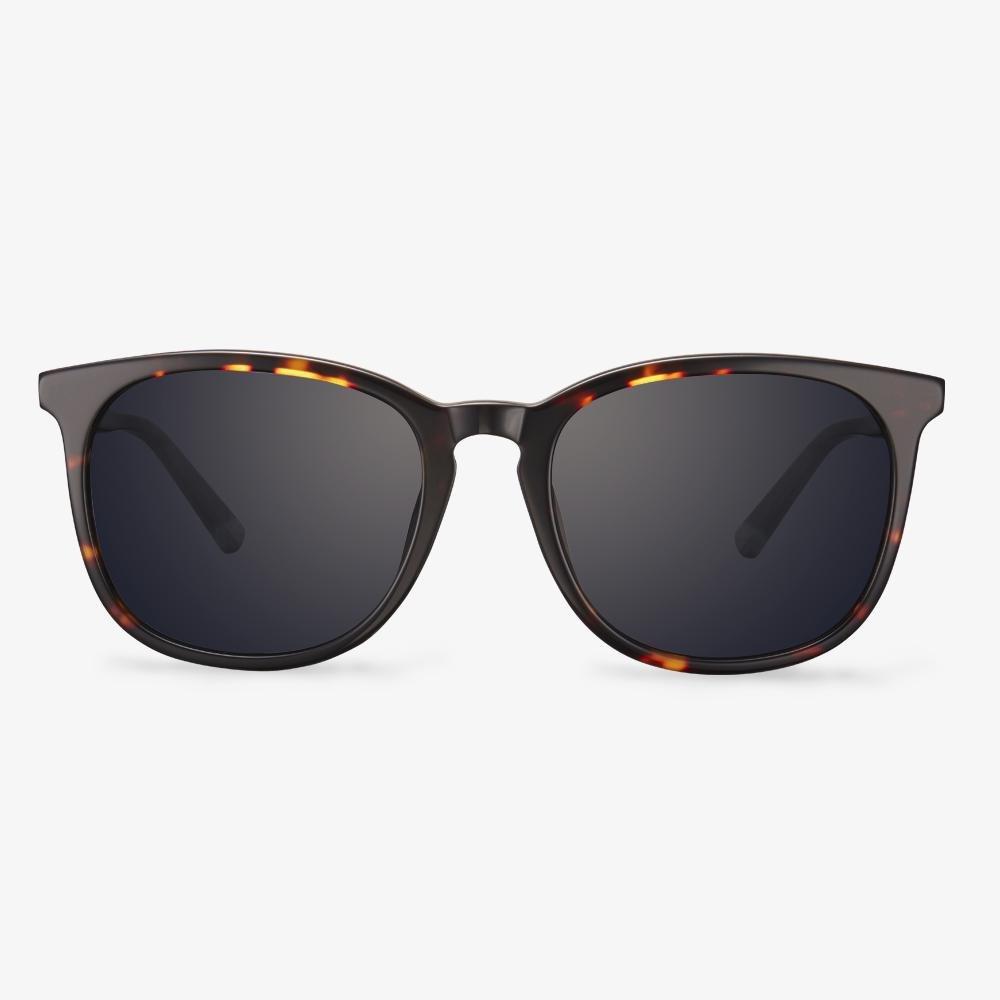 Tortoise Moment Sunglasses #color_tortoise
