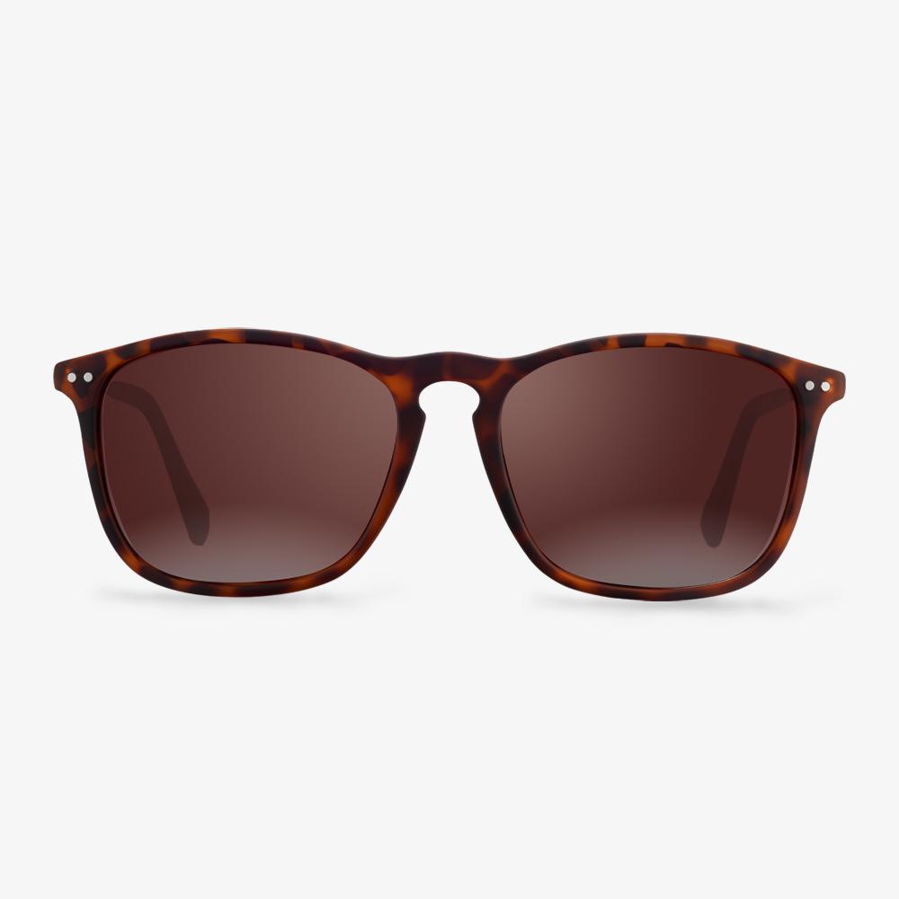 Tortoise Woodrow Sunglasses #color_tortoise